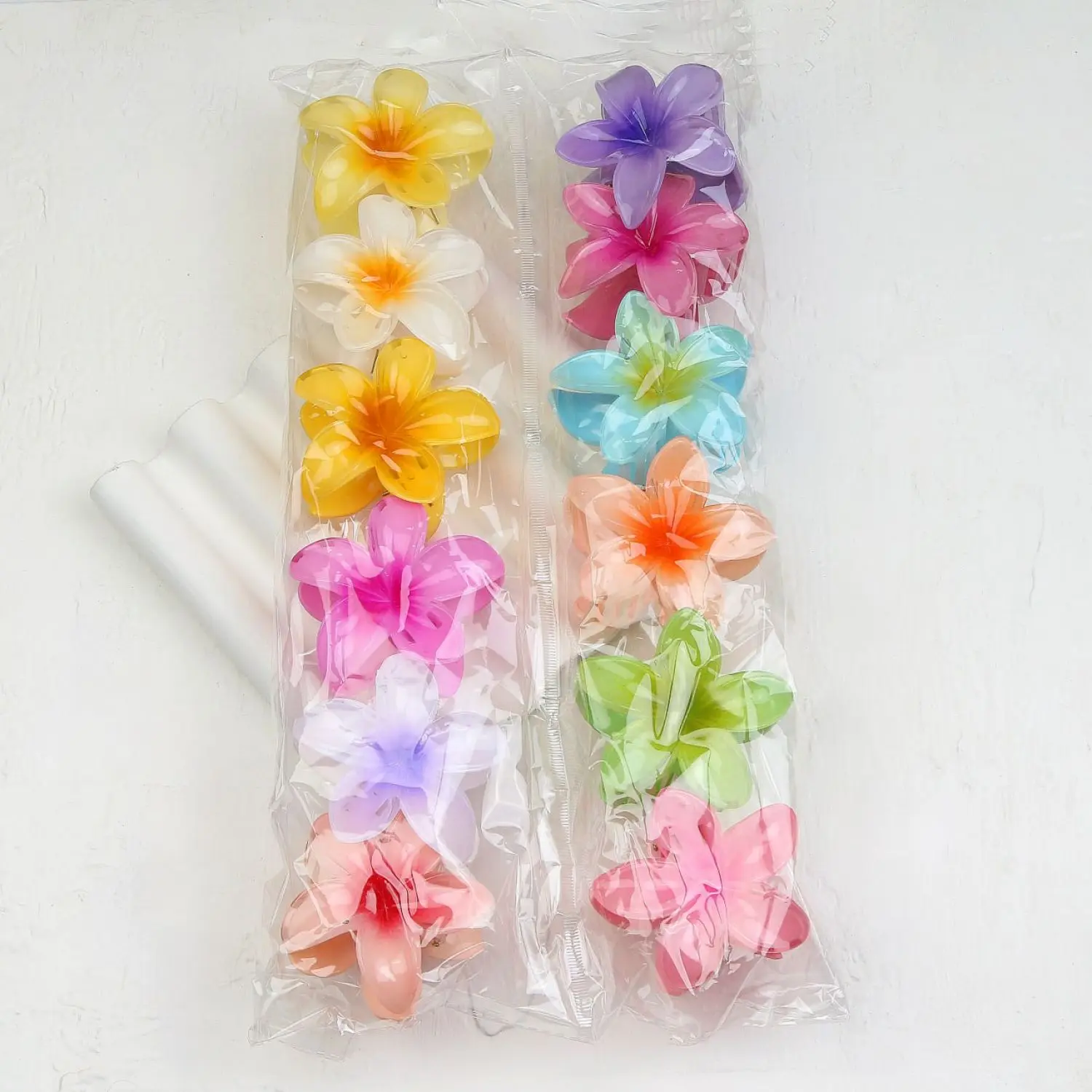 پلومریا سایز بزرگ چند رنگ